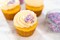 Edible Pastel Colors Nonpareils Sprinkles & Jimmies Sprinkles for Cupcakes 9.4 ounces, Pastel Sprinkles Edible for Cake Decorating (Made in USA)